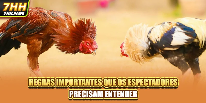Regras importantes que os espectadores precisam entender